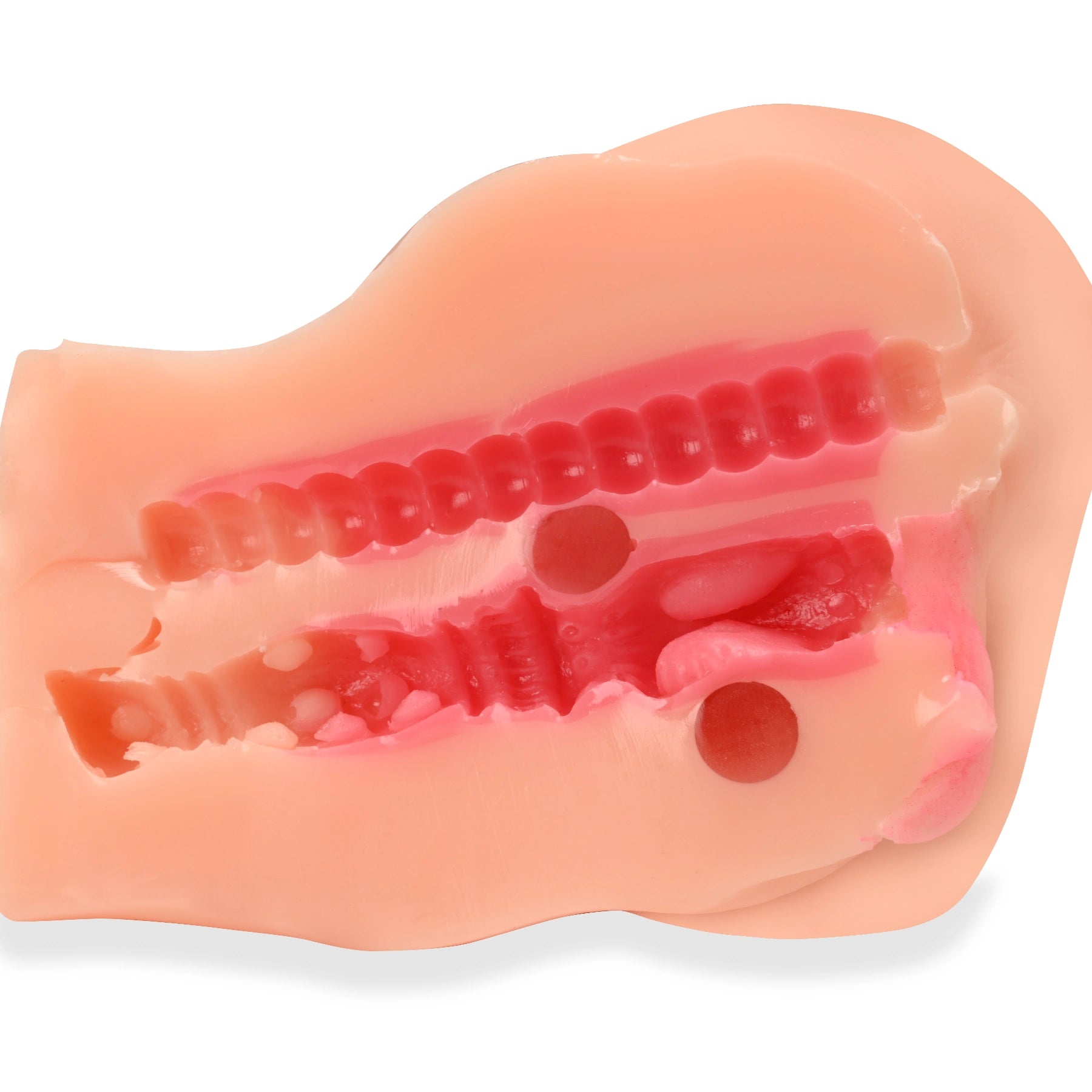 Miss Italy Ass & Pussy Mini Torso - Savageme Dolls